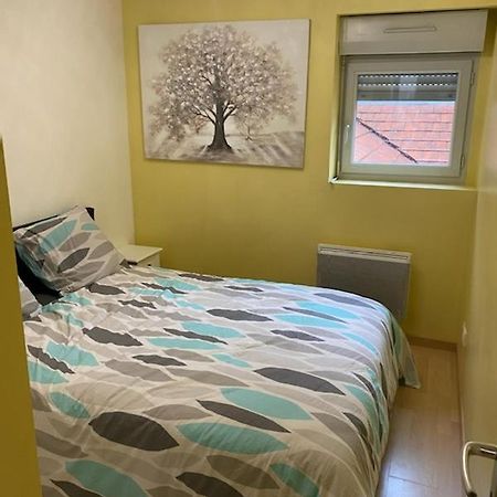 Bel Appartement Coeur De Ville Chalon-sur-Saone Luaran gambar